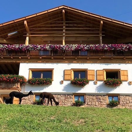 B&B Belvedere Daiano Exterior foto