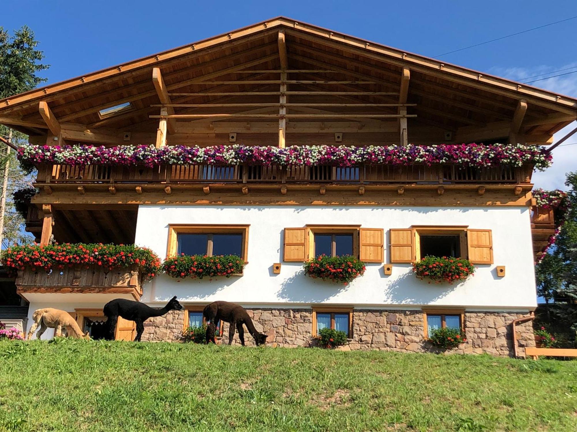 B&B Belvedere Daiano Exterior foto